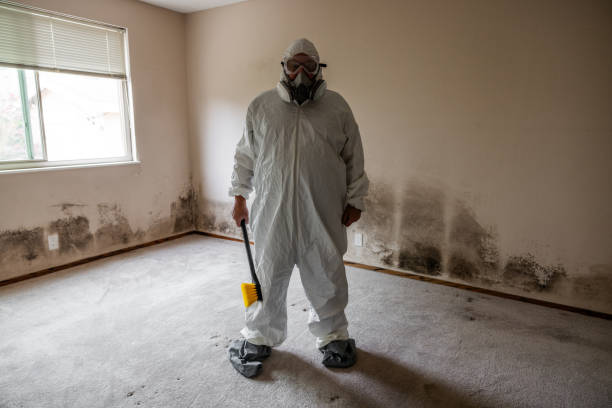 Professional Mold Removal in Wynnewood, OK